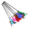 Cat Feather Wand Set (5 pcs)