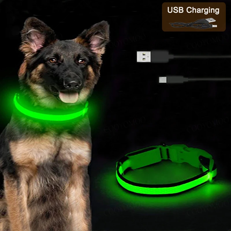 Rechargeable LED Dog Collar