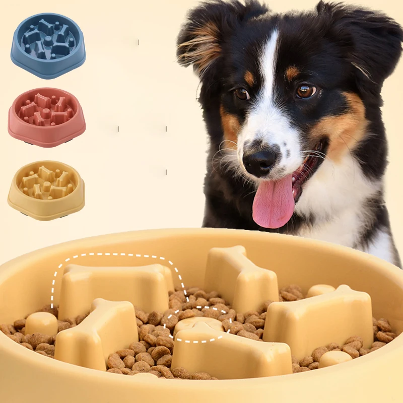 Puzzle Slow-Feeder Bowl