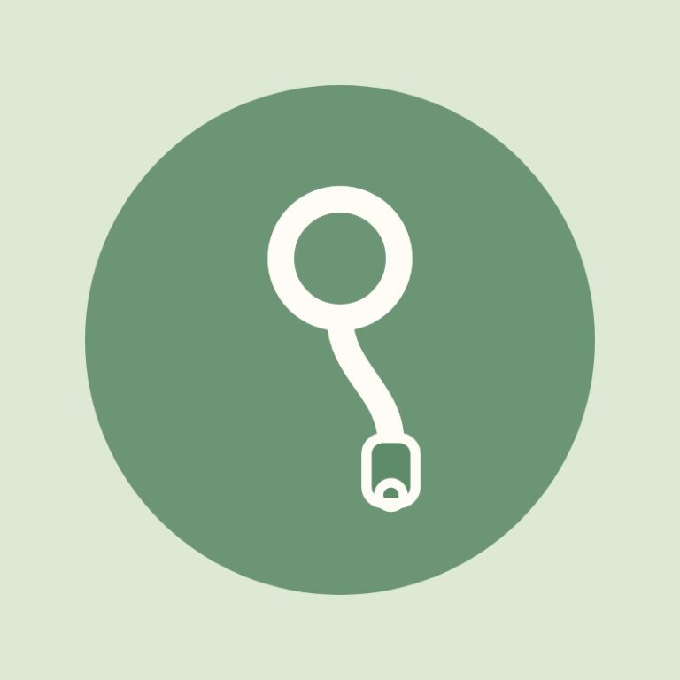 Walks & Travel — Tailwell