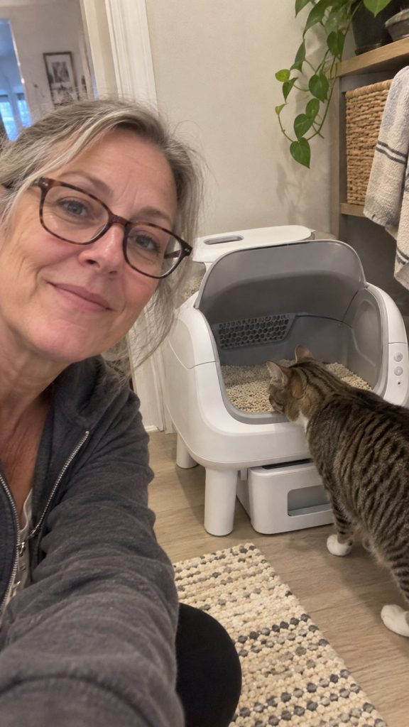 A tabby cat looking into the self-cleaning litter box at home