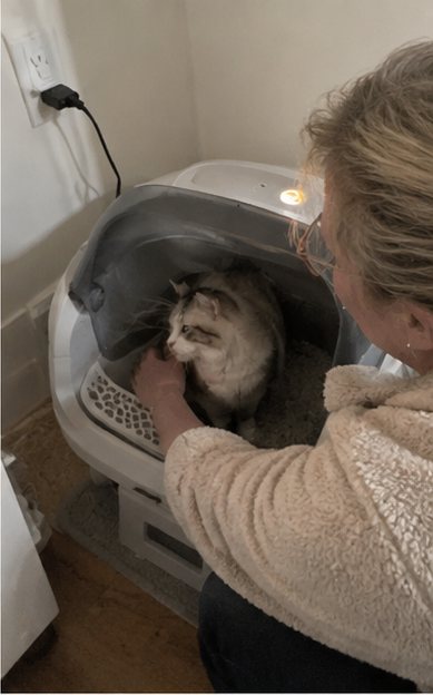 A customer reaching in to stroke their cat at the litter box
